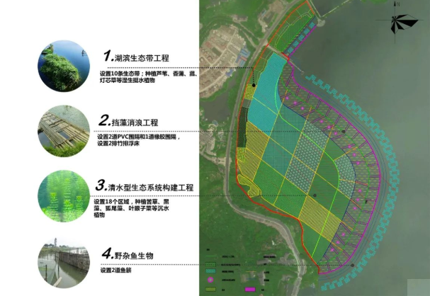 中节能铁汉倾力打造太湖湖湾生态修复示范