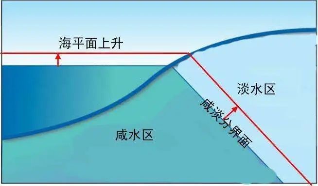 上海自来水供应正常有序 专家详解自来水“身世”和应急能力