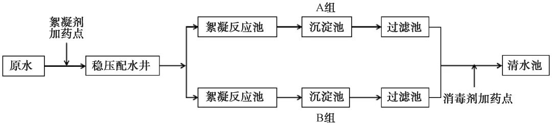 北方水库水源净水厂剑水蚤应急处置对策