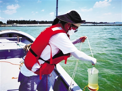 十年治藻控磷护太湖安澜｜江河湖泊治理这十年