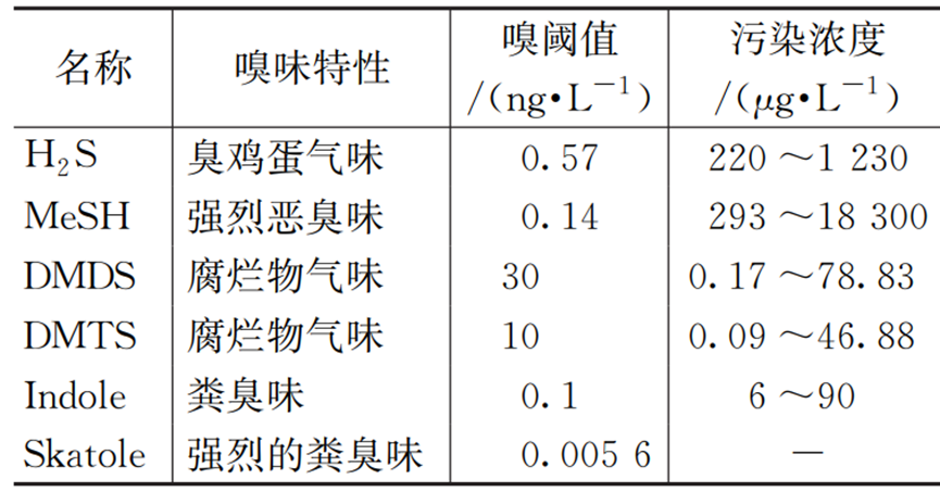 管道溢流的污染特征及水质管控技术与策略