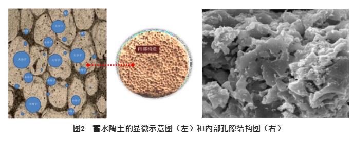 市政污泥制备蓄水陶土工业化生产技术与工艺