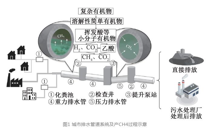 隐形的地下碳源：城市排水管道CH4排放