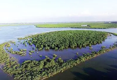 加入《湿地公约》三十周年我们向世界分享了什么？ 