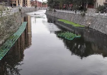 河北农村黑臭水体动态清零 