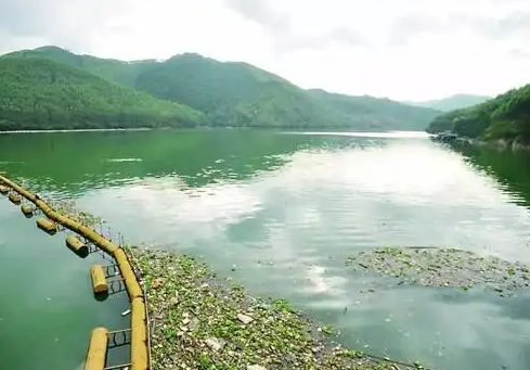 抓住水环境治理牛鼻子 加强入河入海排污口监管