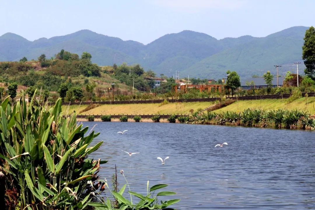 重度缺水地区的“河湖治理”经