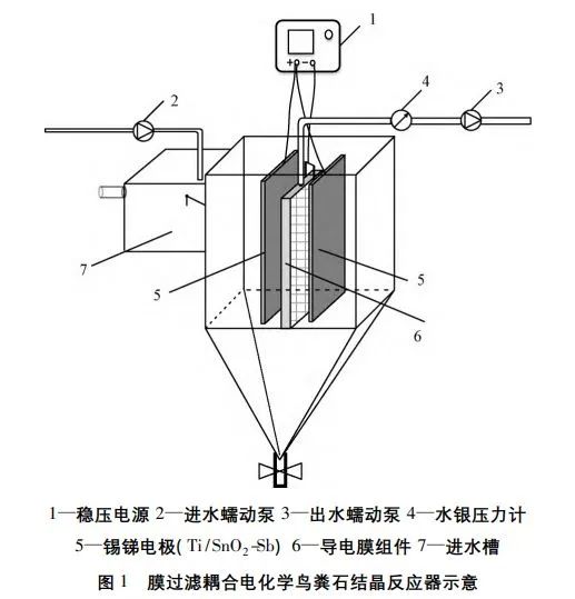 王志伟教授团队：膜过滤耦合电化学强化废水中磷回收效能