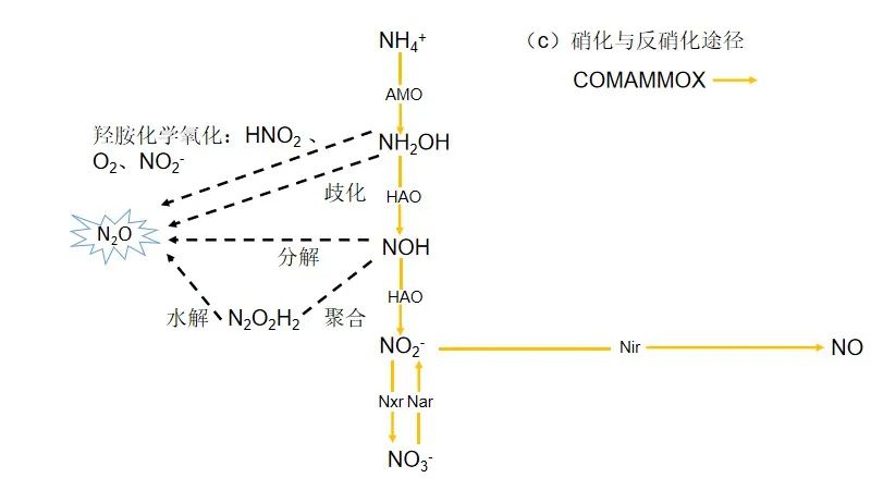 污水处理过程N2O排放：过程机制与控制策略