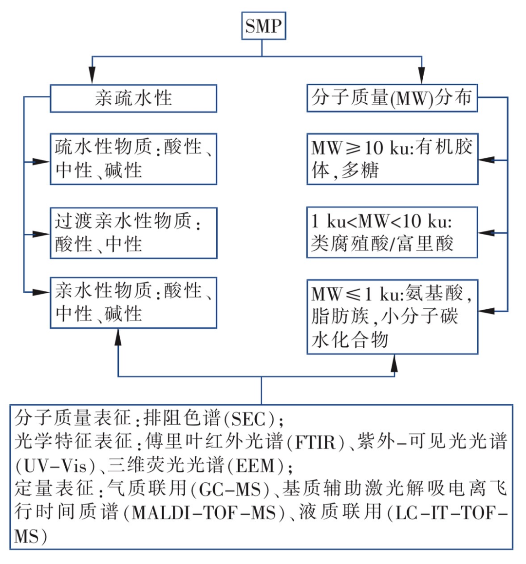 出水中内源代谢有机物产生与影响