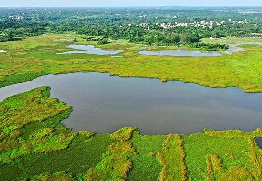 我国新增国际重要湿地18处 湿地保护修复成效明显