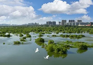 北京出台水生态区域补偿政策！有水河长度、流动性等纳入考核指标