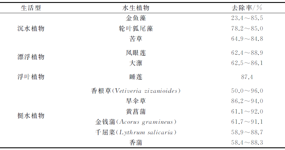 不同污染水体 该怎么选择水生植物？