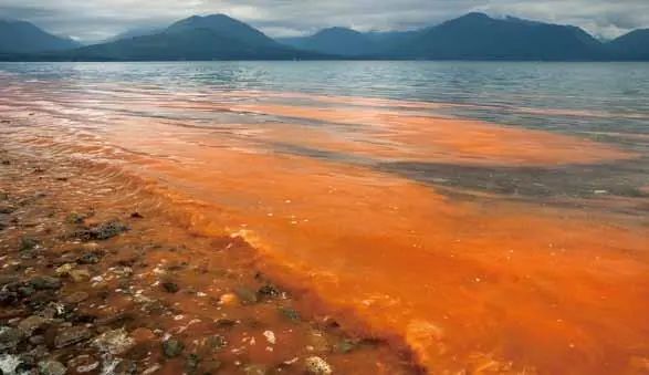 国家先进污染防治技术之河湖流域篇