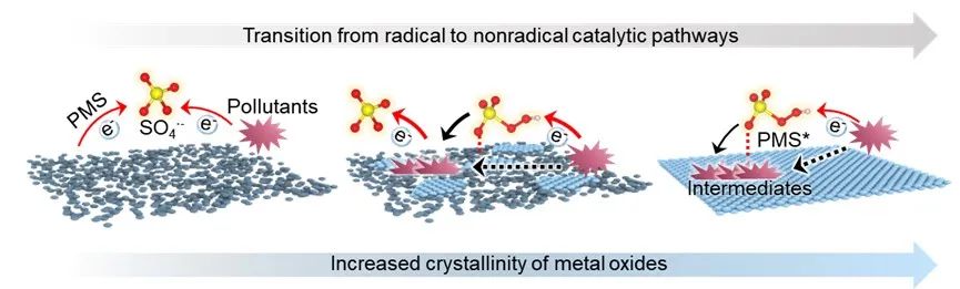 中国科大环境系在高级氧化催化材料方面取得新进展