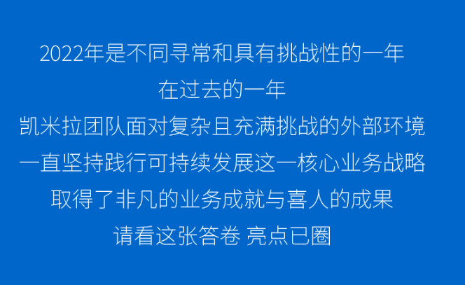 凯米拉Kemira发布2022年业绩报告