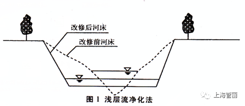 城市小型河流水质直接净化的原理及方法