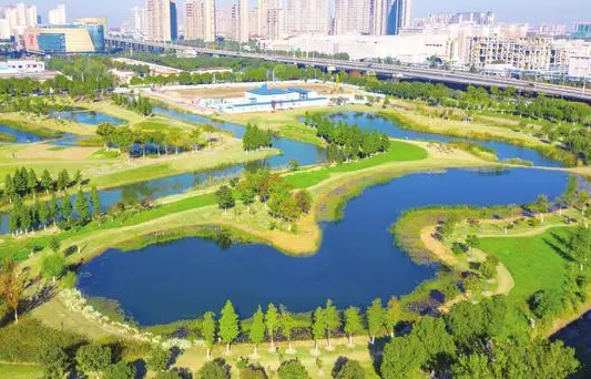 雨天储水晴天用！重庆首个海绵城市雨水花园示范基地建成