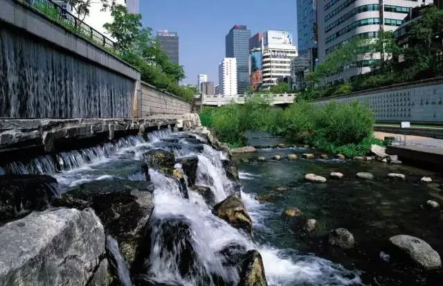 河道湿地生态治理技术大汇总