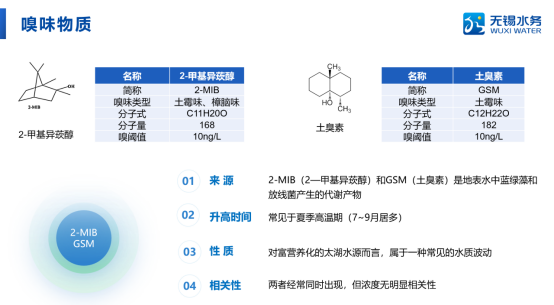 别娜娜：新国标下太湖水源水厂嗅味物质控制技术实践