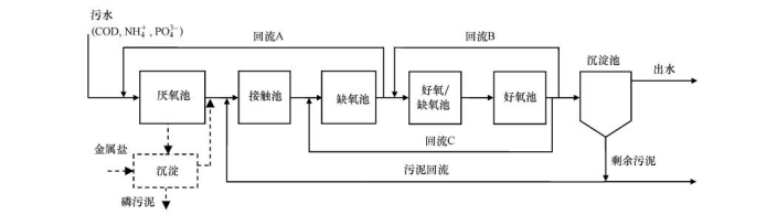 活性污泥中聚磷菌/聚糖原菌内源衰减特征探究