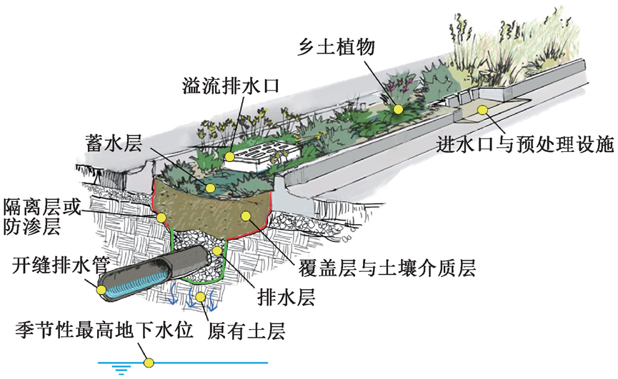 雨水生物滞留设施应用研究