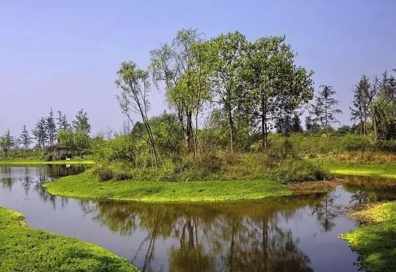 太湖东海局局长霍传林：维护水生态系统健康 营造“清水绿岸 鱼翔浅底”的良好生态环境