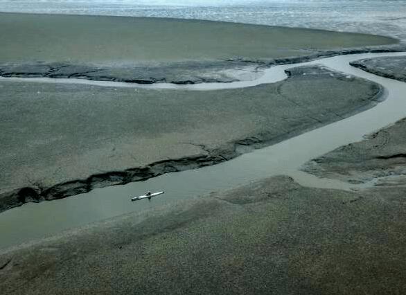 入海排污口核查：三大流域海域局聚焦哪些重点？