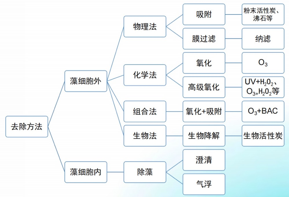 新国标实施后 您需要掌握的嗅味相关知识（二）