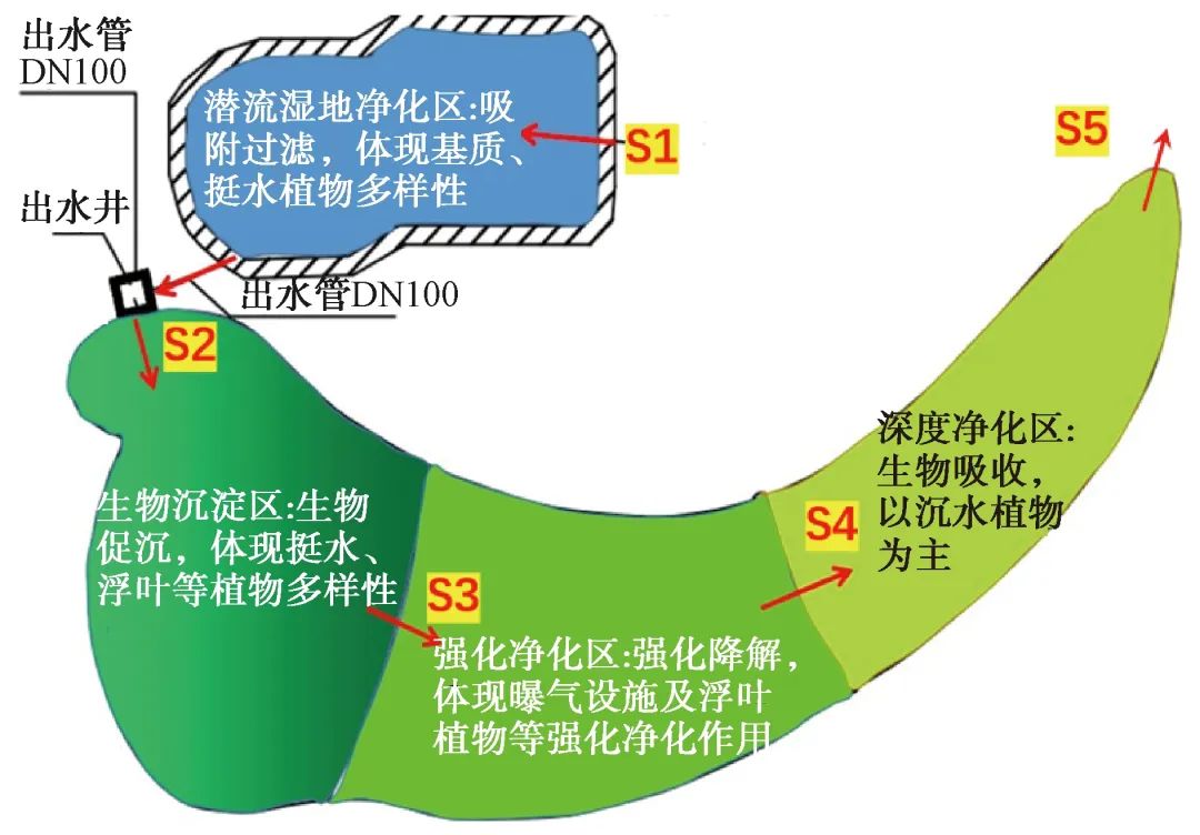 人工湿地对长江水源新污染物的去除效果