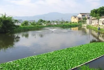 推进农村生活污水治理务必立足实际