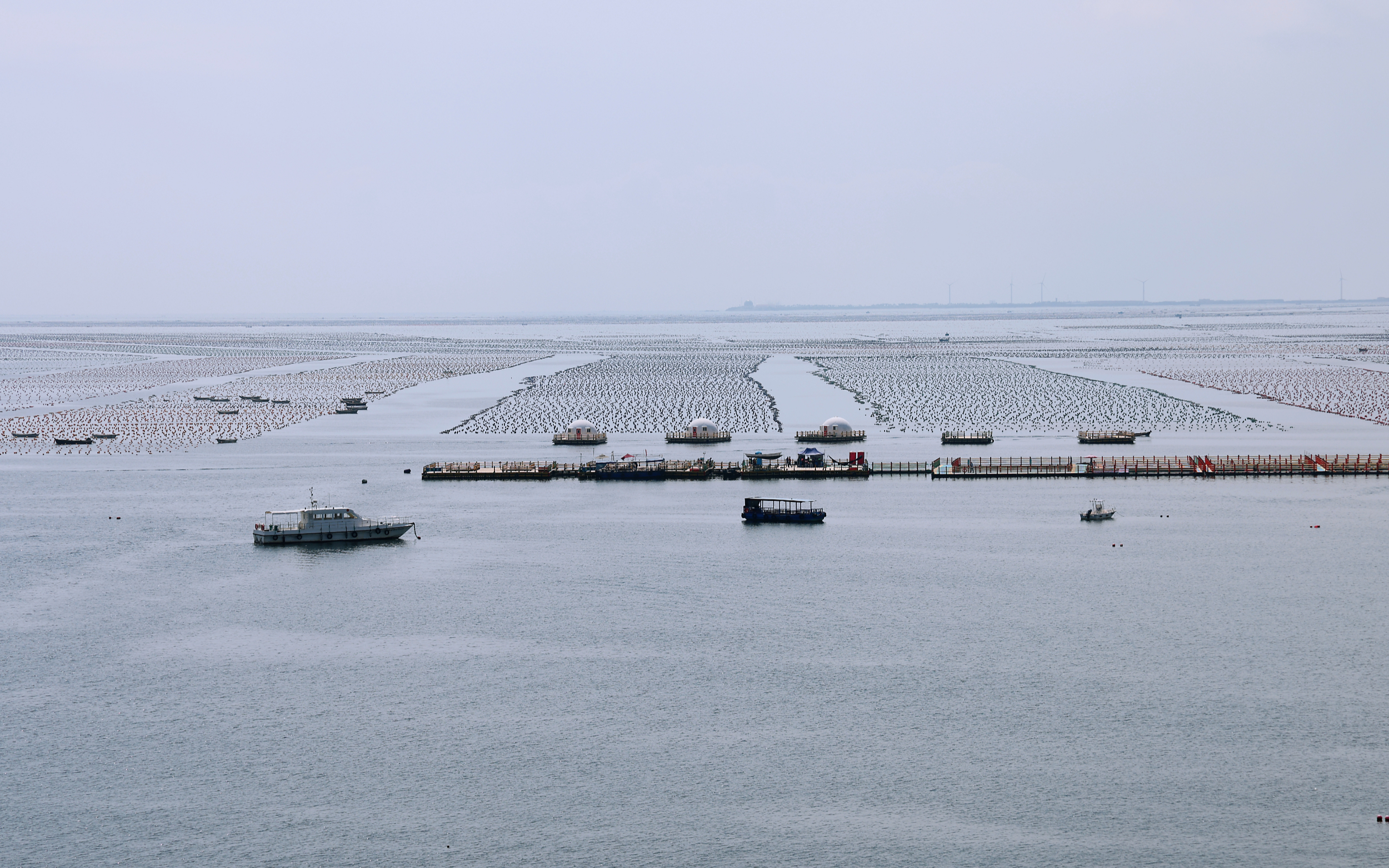 我国修订海洋环境保护法 拟加强海洋辐射环境监测