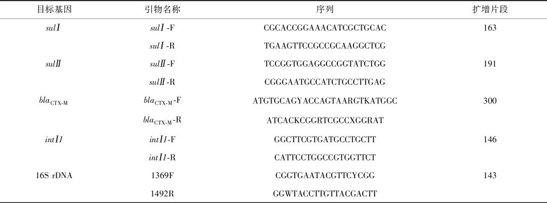 抗生素滥用的今天 水厂可以有效去除抗性细菌吗？