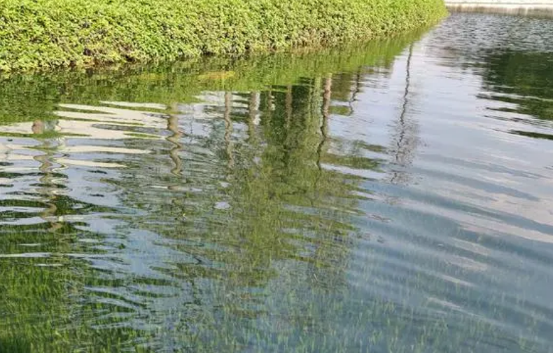 生态环境部水生态环境司有关负责人就《电子工业水污染防治可行技术指南》答记者问