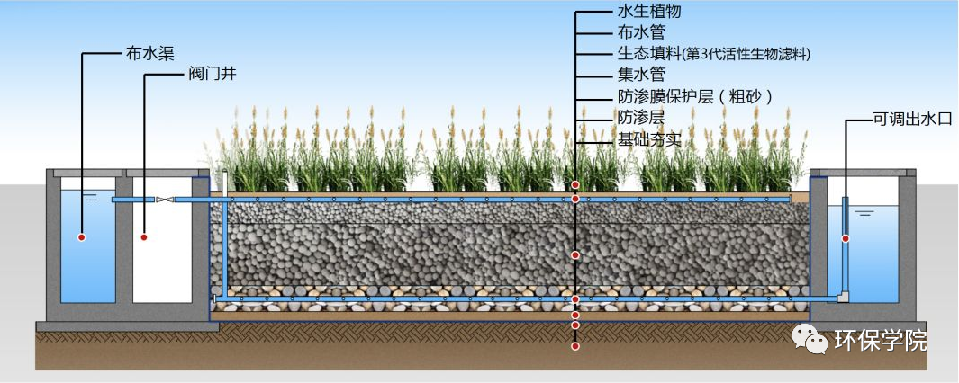 人工湿地常见问题及解决措施