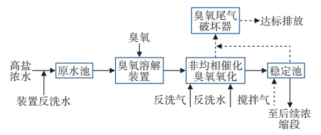 非均相催化臭氧氧化技术用于高盐废水零排放工程