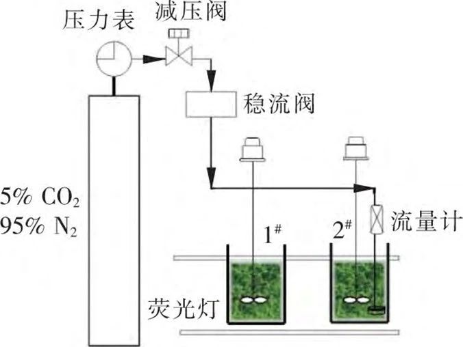 CO₂对可沉微藻油脂含量的影响