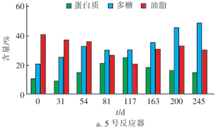 可沉微藻转化油脂潜力及PHB合成试验研究