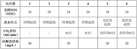 可沉微藻转化油脂潜力及PHB合成试验研究