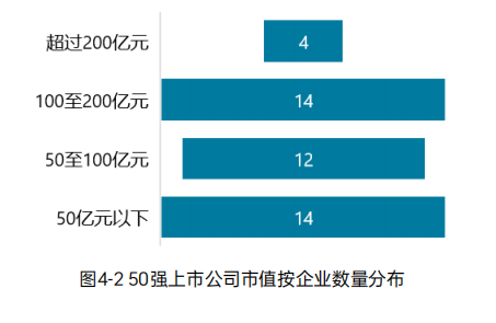 《2023中国环境企业50强发展报告》——资本情况分析