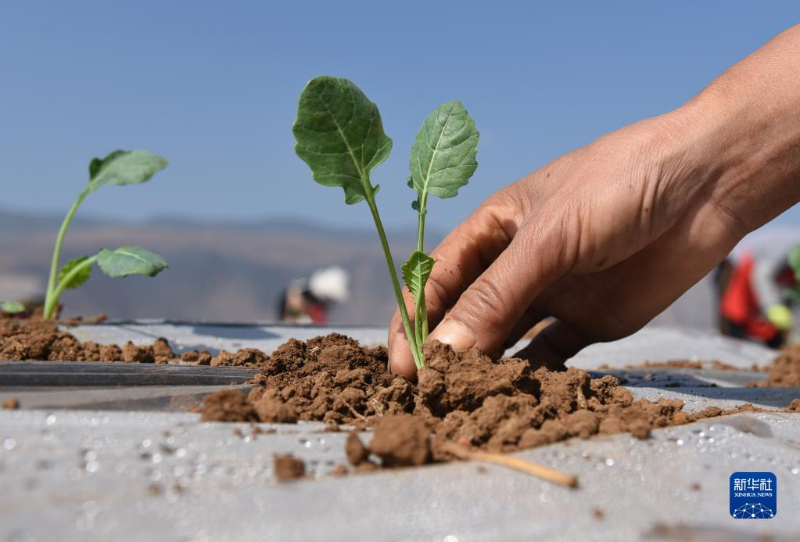 保护土壤生物多样性 还土壤生态一片净土