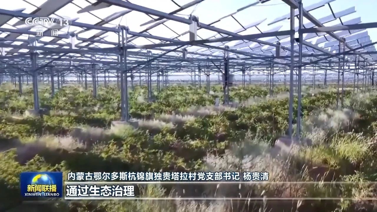 5400多公里的黄河如何保护？新年伊始各地各部门拿出这些举措