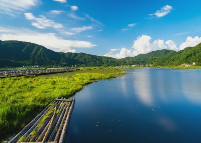 应对全球环境风险 如何打造国际合力 加强绿色战略对接？朱春全这样说