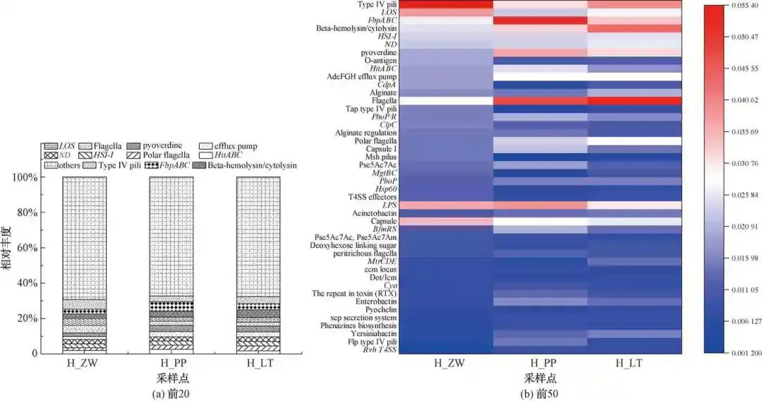 住宅厨房给水管网末梢微生物多样性分析