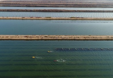 渤海综合治理攻坚战助力近岸海域水质改善