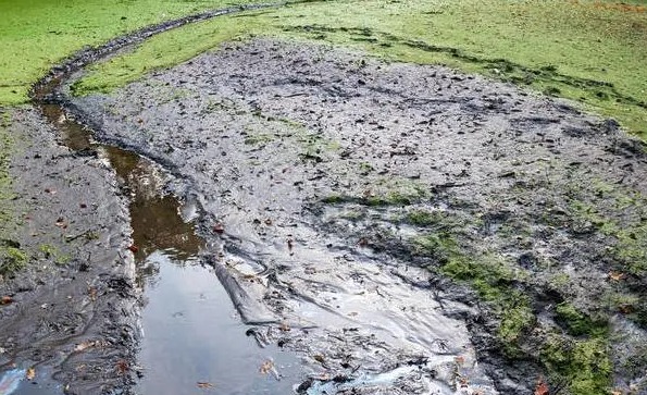 2月第一周 最新生活污水项目汇总