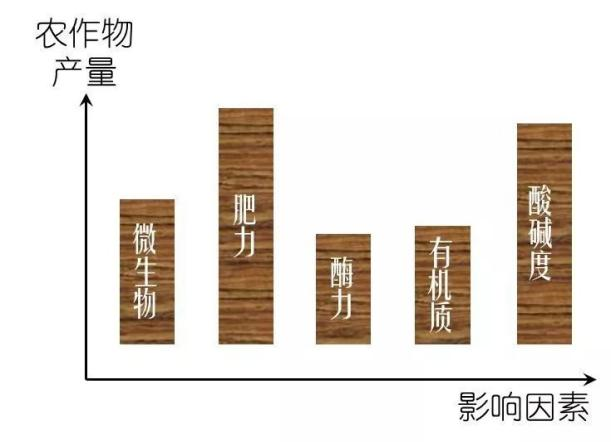 煤矸石制矿物质肥料助力健康中国