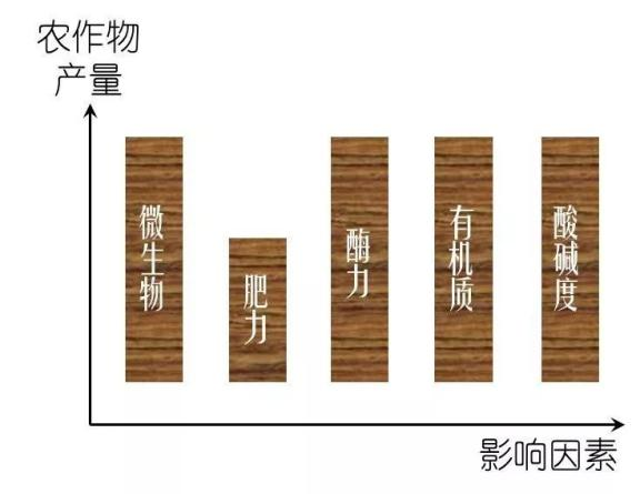 煤矸石制矿物质肥料助力健康中国