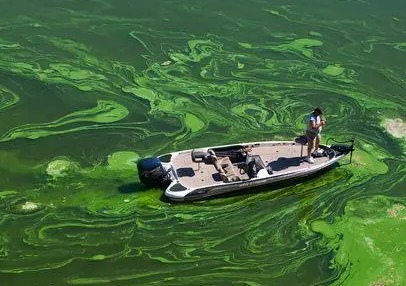 重点任务在“治水” 中央督察组对青海省反馈的问题中能看出什么？