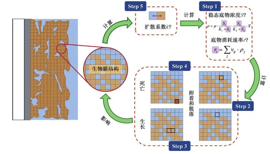 王志伟教授团队：膜曝气生物膜反应器数学模型的研究进展